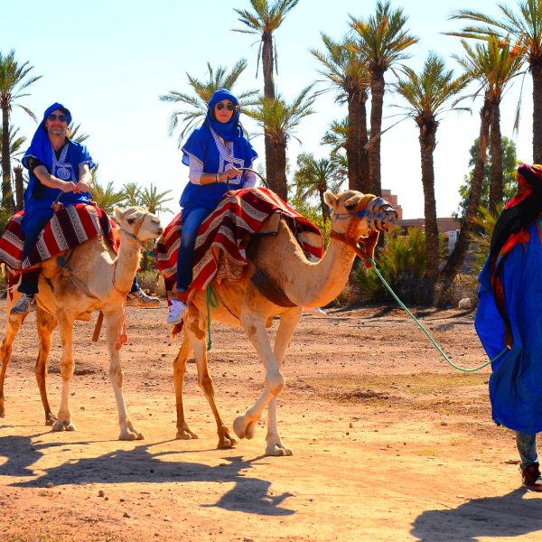 Immerse yourself in the enchanting allure of our camel rides and treks, ideal for those seeking tranquility, serenity, and the unique ambiance created by the desert's gentle embrace. Indulge in delectable dinners illuminated by the soft glow of lanterns, while marveling the captivating spectacle.