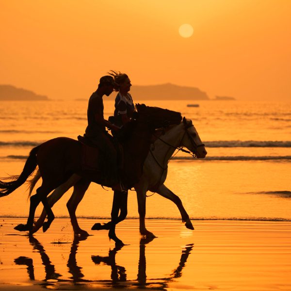 Experience the thrill of galloping along the vast, untouched beaches of Morocco, with the refreshing Atlantic waves. Alternatively, traverse the majestic snow-capped Atlas Mountains. Our horse riding activities encompass a diverse range of trails that meander through breathtaking landscapes.